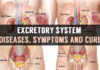 excretory system diseases symptoms and cure