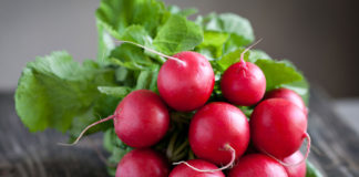 radish uses health benefits side effects