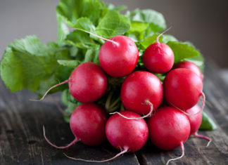 Radish Uses Health Benefits and Side Effects radish uses health benefits side effects