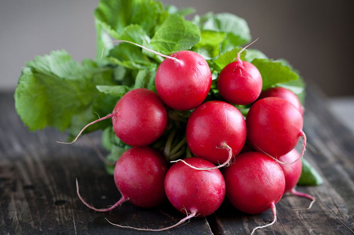 radish uses health benefits side effects