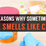 reasons why sometimes urine smells like coffee