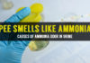 What to do if Pee or Urine Smells Like Ammonia? what to do if pee smells like ammonia