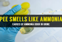 what to do if pee smells like ammonia
