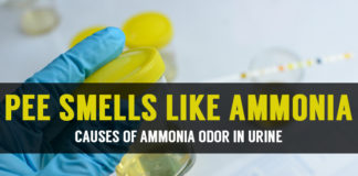 What to do if Pee or Urine Smells Like Ammonia? what to do if pee smells like ammonia