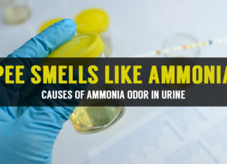 What to do if Pee or Urine Smells Like Ammonia? what to do if pee smells like ammonia