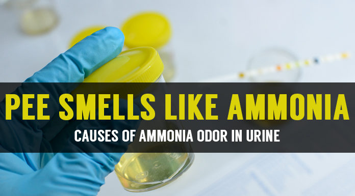 What to do if Pee or Urine Smells Like Ammonia? what to do if pee smells like ammonia