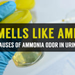 why my pee or urine smells like ammonia