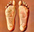 reflexology points