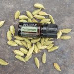 cardamom essential oils for flea bite