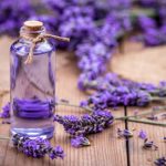 lavender oil to handle fleas