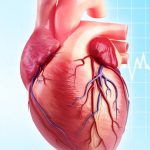 heart ct scan purpose risks and procedure