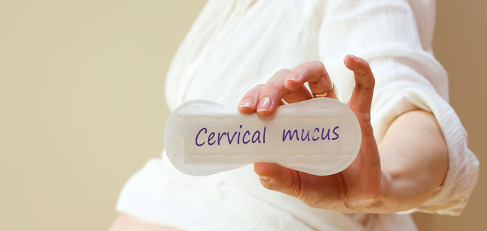 check cervical mucus or discharge