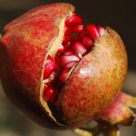 benefits of pomegranate