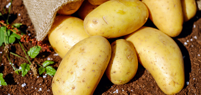 potato good for acne