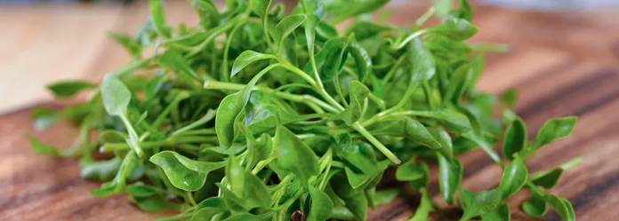 watercress