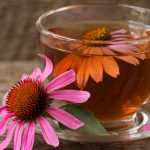 echinacea flowers tea