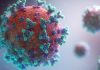 What are the Facts About the Latest Pandemic of COVID-19 (Coronavirus disease)? coronavirus covid-19