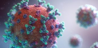 What are the Facts About the Latest Pandemic of COVID-19 (Coronavirus disease)? coronavirus covid-19