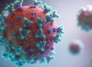 What are the Facts About the Latest Pandemic of COVID-19 (Coronavirus disease)? coronavirus covid-19