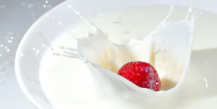 dairy foods are rich in calcium
