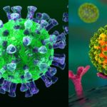 types of coronaviruses